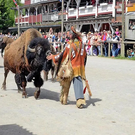 Harz In Hasselfelde, Cleaning Included